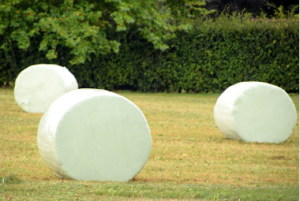 silage film