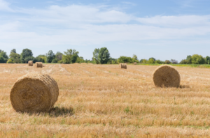 silage plastic sheeting

