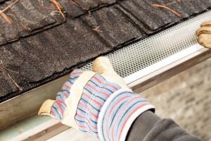 gutter mesh Adelaide