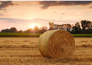 baling twine options