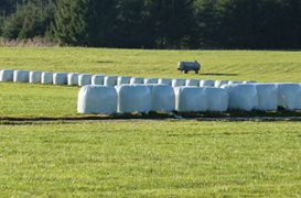 silage covers