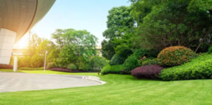 landscaping cost